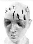Other Evidence 01. Model of Marilyn's Head, Front View by Cleveland / Bay Village Police Department