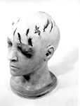 Other Evidence 03. Model of Marilyn's Head, Left Side by Cleveland / Bay Village Police Department