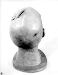 Other Evidence 04. Model of Marilyn's Head, Back View by Cleveland / Bay Village Police Department