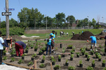 Hillside Community Park, Re-imagining Cleveland 3, Planting