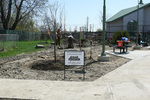 W65th St. RTA Station, Re-imagining Cleveland 3, Arbor Day by Helen Liggett