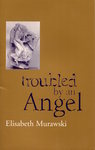 Troubled By an Angel by Elisabeth Murawski