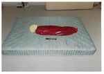 Model 10. Model, view shows entire mattress by Cuyahoga County Prosecutor's Office and Cuyahoga County Coroner's Office