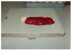 Model 11. Model, view shows entire mattress by Cuyahoga County Prosecutor's Office and Cuyahoga County Coroner's Office