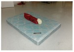 Model 12. Model, view shows entire mattress by Cuyahoga County Prosecutor's Office and Cuyahoga County Coroner's Office