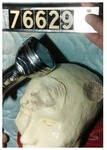 Model 20. Model head with weapon imprints, dented metal flashlight by Cuyahoga County Prosecutor's Office and Cuyahoga County Coroner's Office