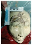 Model 29. Blow #5: model head with weapon imprints by Cuyahoga County Prosecutor's Office and Cuyahoga County Coroner's Office