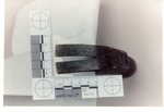 Weapon 28. Closeup of hammer claw, top view by Cuyahoga County Prosecutor's Office and Cuyahoga County Coroner's Office