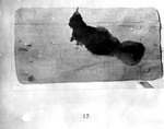 Kirk Photo 17: Victim's Mattress with Blood and Urine Stains by Paul Leeland Kirk