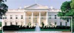 The White House by Luke Ols
