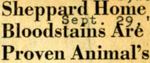 54/09/29 Sheppard Home, Bloodstains Are Proven Animals by Cleveland News