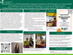 The importance of a self-determination integrated transition-to-work program for young adults with intellectual and developmental disabilities: A program development plan