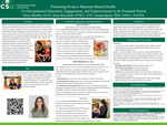 Promoting Positive Maternal Mental Health: Co-Occupational Education, Engagement, and Empowerment in the Perinatal Period