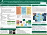 Occupational Therapy Practitioners’ Perspectives on Pain Management Following Spinal Cord Injury by Helen Saul