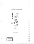 Plaintiff's Exhibit 0329: DNA molecule as demonstrative aid