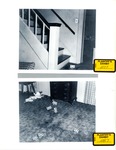 Plaintiff's Exhibit 1077 & 1087: Stairs to 2nd floor; living room