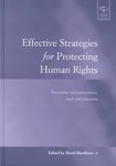 Effective Strategies For Protecting Human Rights: Prevention and Intervention, Trade, and Education by David R. Barnhizer