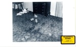 Living Room Carpet by Cleveland / Bay Village Police Department