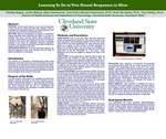 Learning To Do in Vivo Neural Responses in Mice